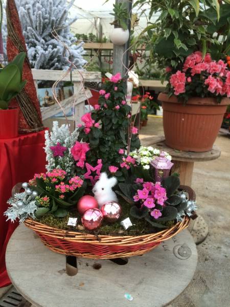compositions florales en vente dans notre pépinière à Aubagne